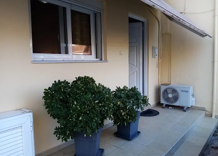 Olga\'S House