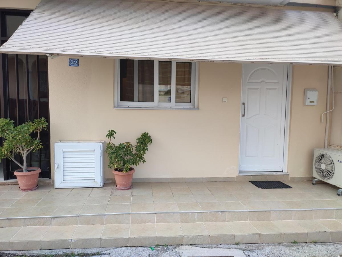 Olga's House